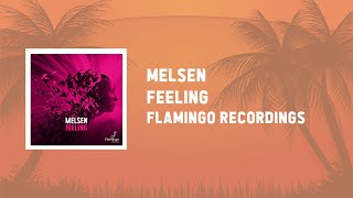 Melsen  Feeling Flamingo Recordings [upl. by Aihtnamas853]