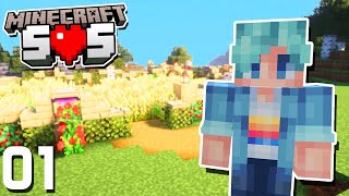 The Best BRAND NEW SMP  Minecraft SOS  Ep1 [upl. by Noletta]