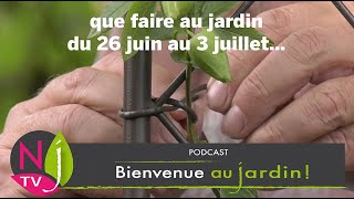 QUE FAIRE DANS LE JARDIN DU 19 JUIN AU 3 JUILLET  LES BONS CONSEILS PRATIQUES DE PATRICK ET ROLAND [upl. by Neleb]