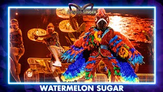 Papegaai  ‘Watermelon Sugar’  Aflevering 2  The Masked Singer  VTM [upl. by Durning]