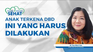 Gejala Demam Berdarah pada Anak Berikut Ini yang Harus Dilakukan [upl. by Nielsen]