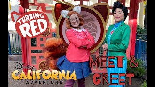 NEW Turning Red Lunar New Year Meet and Greet with Meilin amp Ming Lee  Disney California Adventure [upl. by Eiznek807]