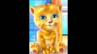 Talking Ginger Égypt Arabic Song  حزنك [upl. by Chrystel951]