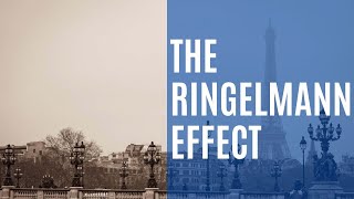 Are people naturally lazy  The Ringelmann Effect  Crazy Science 3 [upl. by Entsirhc]