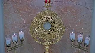 Adorecast – 247 Live Eucharistic Adoration [upl. by Hadlee]