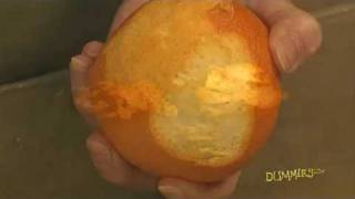 How to Zest Citrus Fruit For Dummies [upl. by Legnaleugim817]