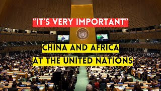 China and Africa at the United Nations [upl. by Nnylyt233]