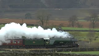 60103 Flying Scotsman with The Waverley  19112023 [upl. by Kovar]