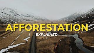 What is Afforestation  Eco Facts  One Tree Planted [upl. by Waldos]