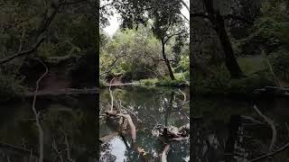 Kilcoy Creek dji avata2 dronefootage [upl. by Sutsuj]