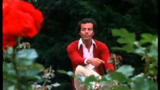 Julio Iglesias  El Amor lyrics in English amp magyar fordítás amp Letra en español subtítulos [upl. by Shreeves]