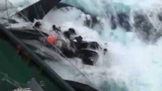 Japanese whalers run over Sea Shepherd boat [upl. by Kcirdahc]