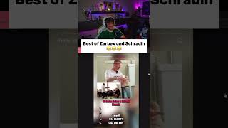 Best of Zarbex und Schradin [upl. by Pass38]