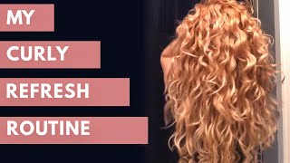 How I refresh my 2b 2c waves and curls  second day curly Routine  Curly Girl Method [upl. by Anazus]