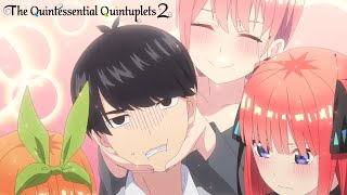 Le harem de mon frère  The Quintessential Quintuplets S2 [upl. by Jeanne]