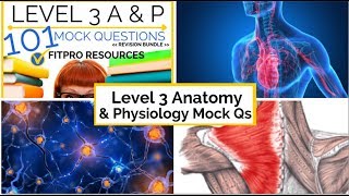 Level 3 Anatomy and Physiology Mock Questions [upl. by Carpio]