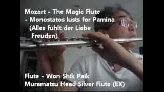 Mozart  The Magic Flute  Monostatos lusts for Pamina  Alles fuhlt der Liebe Freuden [upl. by Ruhtua705]