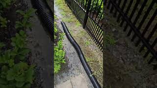 Pulte builders drainage issue Magnolia Ranch Bradenton FL [upl. by Erdnaek]