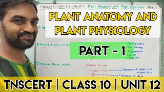 TNSCERT  Class 10  Unit 12  Plant Anatomy and Plant Physiology  Part 1 [upl. by Noraha]