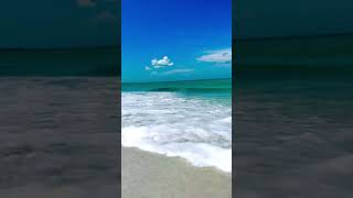 Beach Gasparilla Island florida gulfofmexico music [upl. by Caroline]