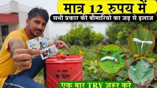 क्या 12 ₹ का शैम्पू है मिलीबग और चेपा जैसी बीमारियों का रामबाण ॥ Shampoo Spray in Farming [upl. by Notxap251]