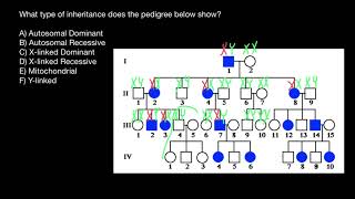 Inheritance Patterns Explained [upl. by Cerveny]