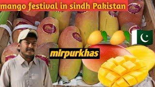 mango festival in sindh Pakistan mirpurkhas mango fruit 2024 [upl. by Lyrret]