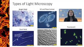 Types of Light Microscopy [upl. by Ardnoet160]