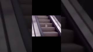 mayonnaise on a escalator [upl. by Dlabihcra]