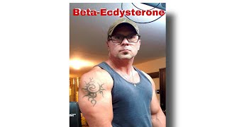 Ecdysterone  Natty Plant Sterol Gains  Natty or Not [upl. by Kornher]