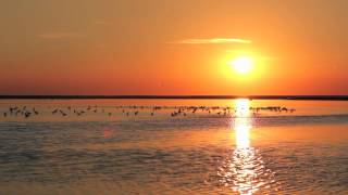 Coucher de soleil sur la Baie de Somme [upl. by Drawets]