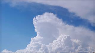 Time lapse of rising cumulus congestus II  anvil formation [upl. by Zehc600]