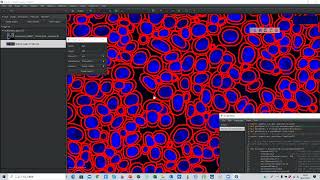 PhenoCycler 旧名CODEXデータのQuPathでのCell Classificationの説明です（Segmentation後のAnnatation） [upl. by Johnstone]