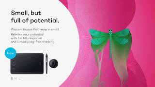 Introducing the new Wacom Intuos Pro Small  Dragonfly Small but full of potential [upl. by Adnileb481]