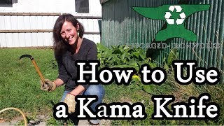 Harvesting with a Kama Japanese Sickle [upl. by Noned636]