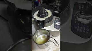 How to Use Moulinex Food processor for Lemon juice short [upl. by Anaugahs]