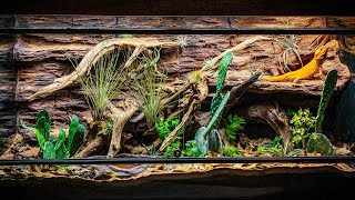 Arid Bioactive Bearded Dragon Vivarium [upl. by Ecerahs]