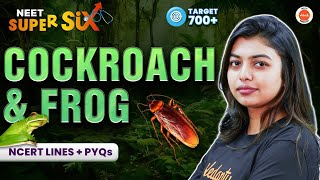 COCKROACH amp FROG 🐸 New NTA Syllabus  NCERT Lines  PYQs Solving  Class 11 Zoology  NEET 2024 [upl. by Ennovaj]