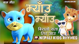 Meow Meow Biralo Myau MayauMeu MeuPopular Rhymes For Children Nursery RhymeFamous Nursery Rhyme [upl. by Carlisle]