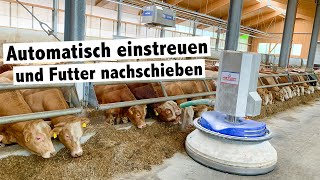 Bullenmastbetrieb Friesacher setzt auf Hetwin Einstreuroboter Astor und Futterschieber Stallboy [upl. by Omolhs]