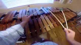 Strive to be Happy  marimba solo by Ivan Trevino [upl. by Caralie581]