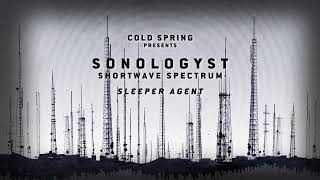 SONOLOGYST Sleep Agent fulllength visualiser [upl. by Ecidnak275]