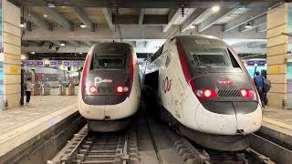 TGV TER Transilien N en gare de Paris Montparnasse [upl. by Humbert257]