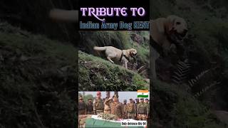 Tribute Video to indian army Sniffer Dog Kent 🇮🇳💐Shaheed in Rajouri⚔️21 Rashtriya Rifles⚔️ shorts [upl. by Petunia]