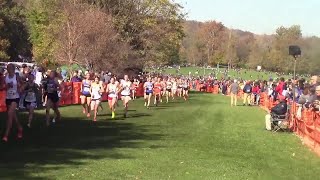 2023 Class 3A Girls Race Highlights  Illinois IHSA Cross Country State Championships [upl. by Haliehs]