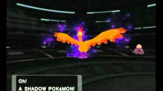 Lets Play Pokémon XD Gale of Darkness 69  The Mother of all Epic Battles [upl. by Elleret]