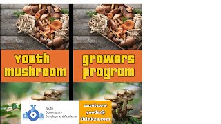 Youth Mushroom Growers Program [upl. by Clarine]