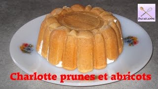 La charlotte aux prunes et aux abricots recette facile et rapide [upl. by Ridglee]