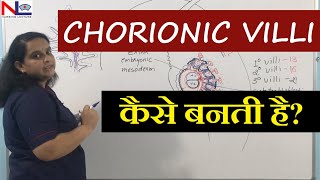 Chorionic villi in Hindi  Placenta development Part3 Nursing Lecture [upl. by Lladnek]