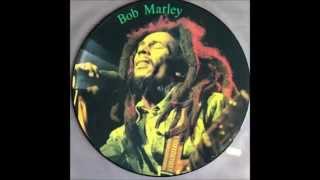 Bob Marley  Get Up Stand Up The Reflex Stems ReVision [upl. by Corine974]